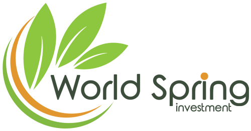 World Spring Investment